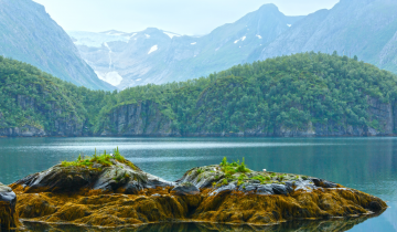 11trondheim_-_rorvik_-_lovund_-_svartisen_-_bodo