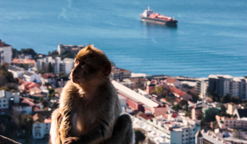 gibraltar_5