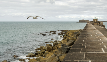 hrstdhgcjdythfgnhjthgfbnf