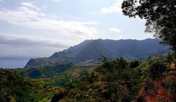 madeira-4907348_1920